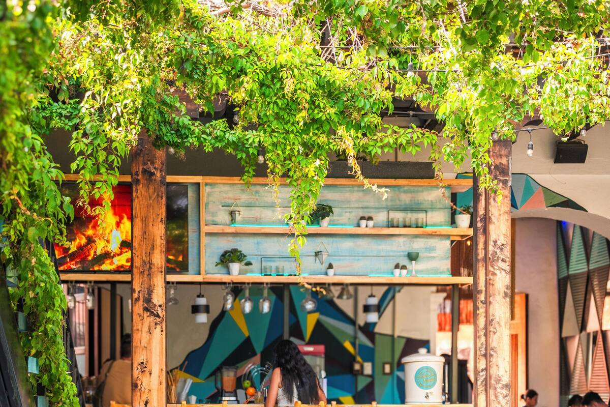 Un espace extérieur aménagé avec des chaises et des tables bleues, entouré de verdure et agrémenté d’une structure en bois dotée d’étagères.