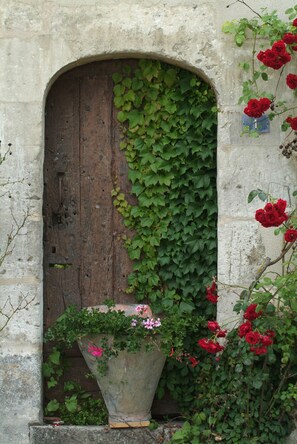 Detalle exterior