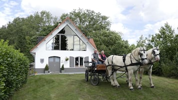 Bekvämlighet