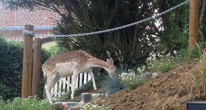 La Garonde