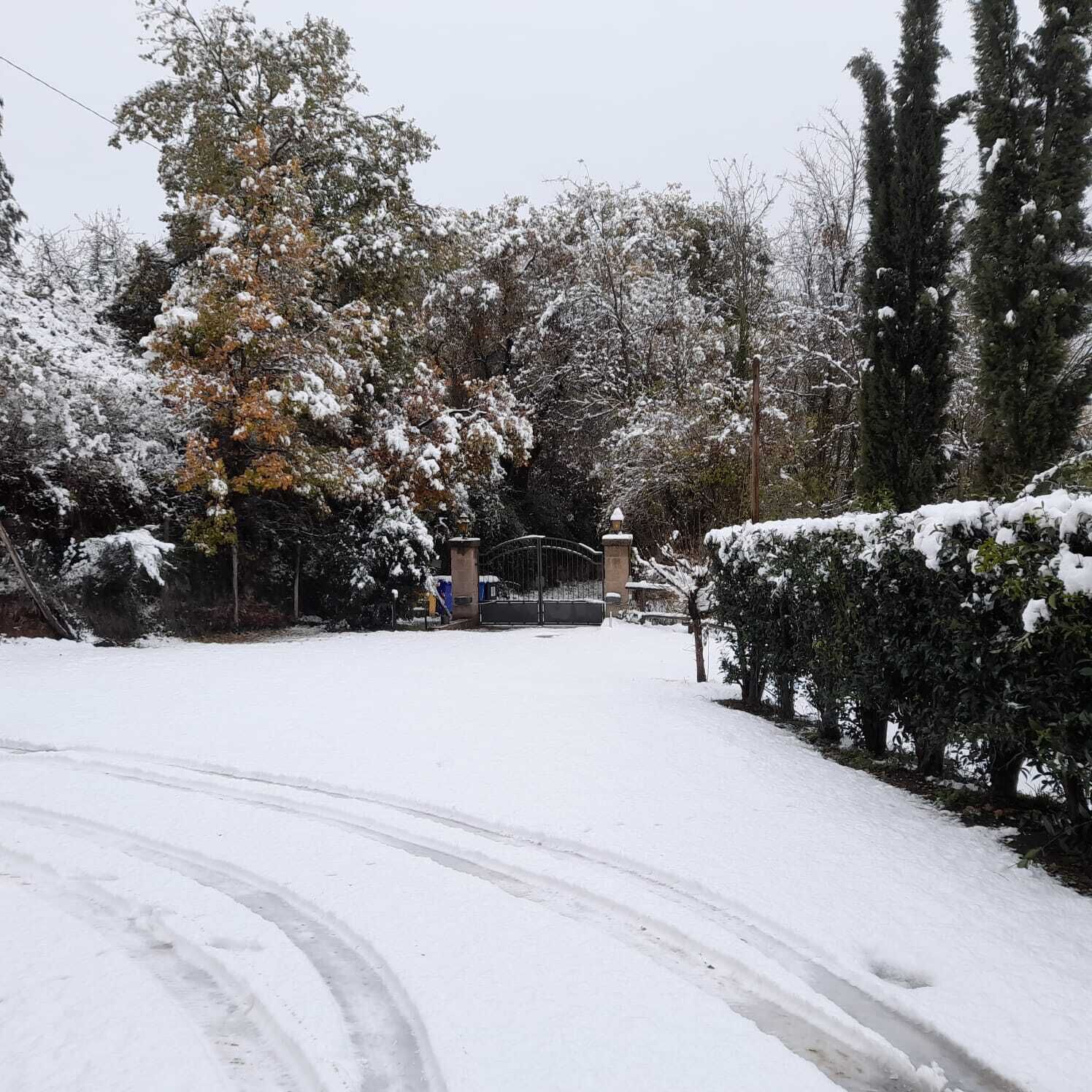Un sentier enneigé mène à une entrée fermée par un portail en métal et à une petite construction, qui pourrait être un abri ou un local technique, dans un quartier résidentiel bordé d’arbres et d’arbustes.