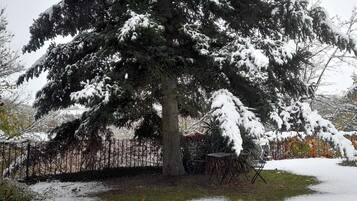 A snow-covered coniferous tree in a yard with a metal fence and a table and chairs set up nearby.