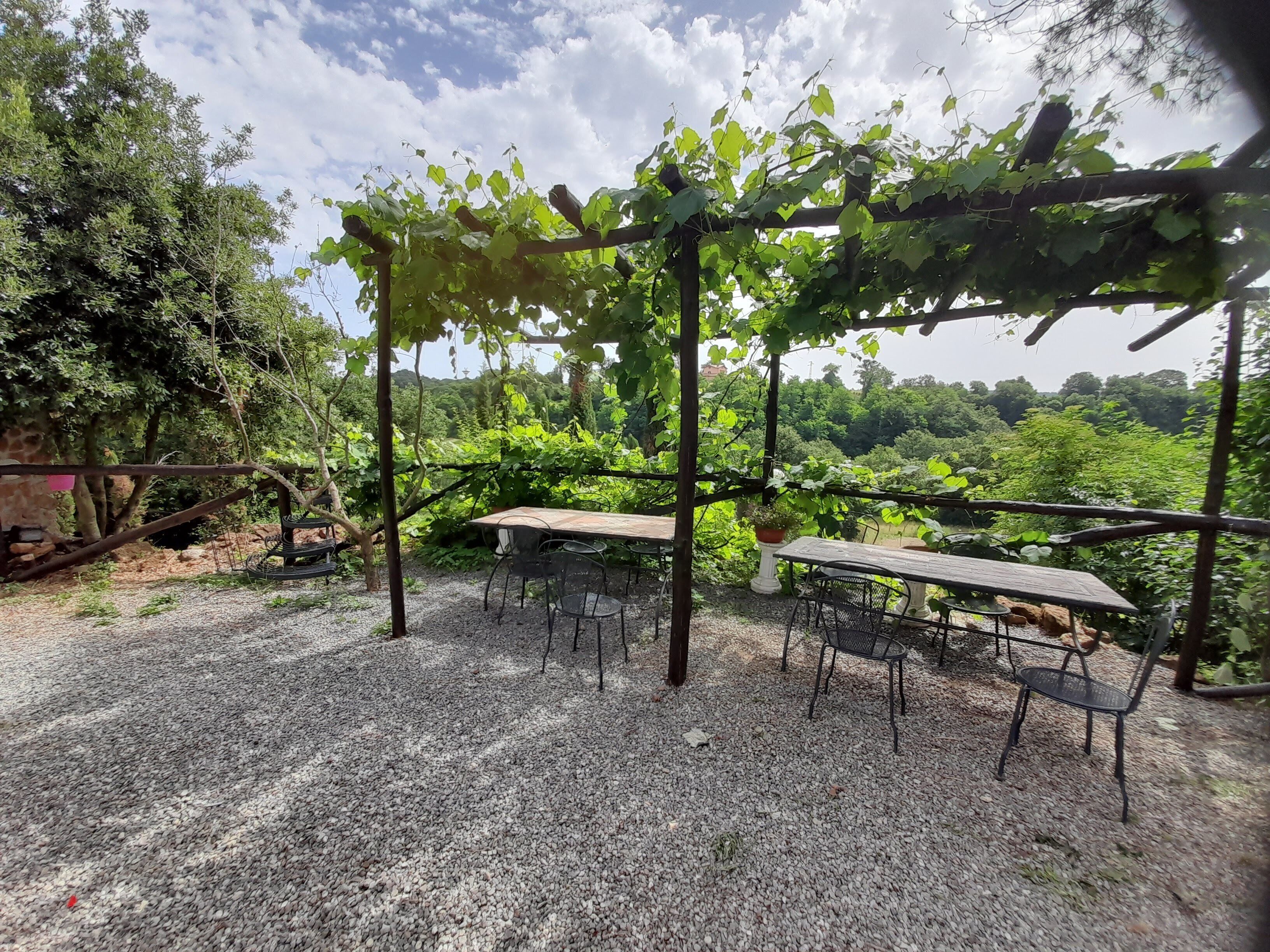 An outdoor seating area with tables and chairs, surrounded by greenery and a pergola.