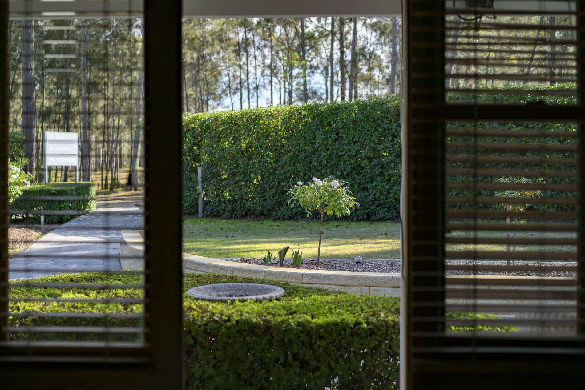 Une vue à travers les stores d’une fenêtre, donnant sur un jardin avec un sentier, un petit arbre et une haie.