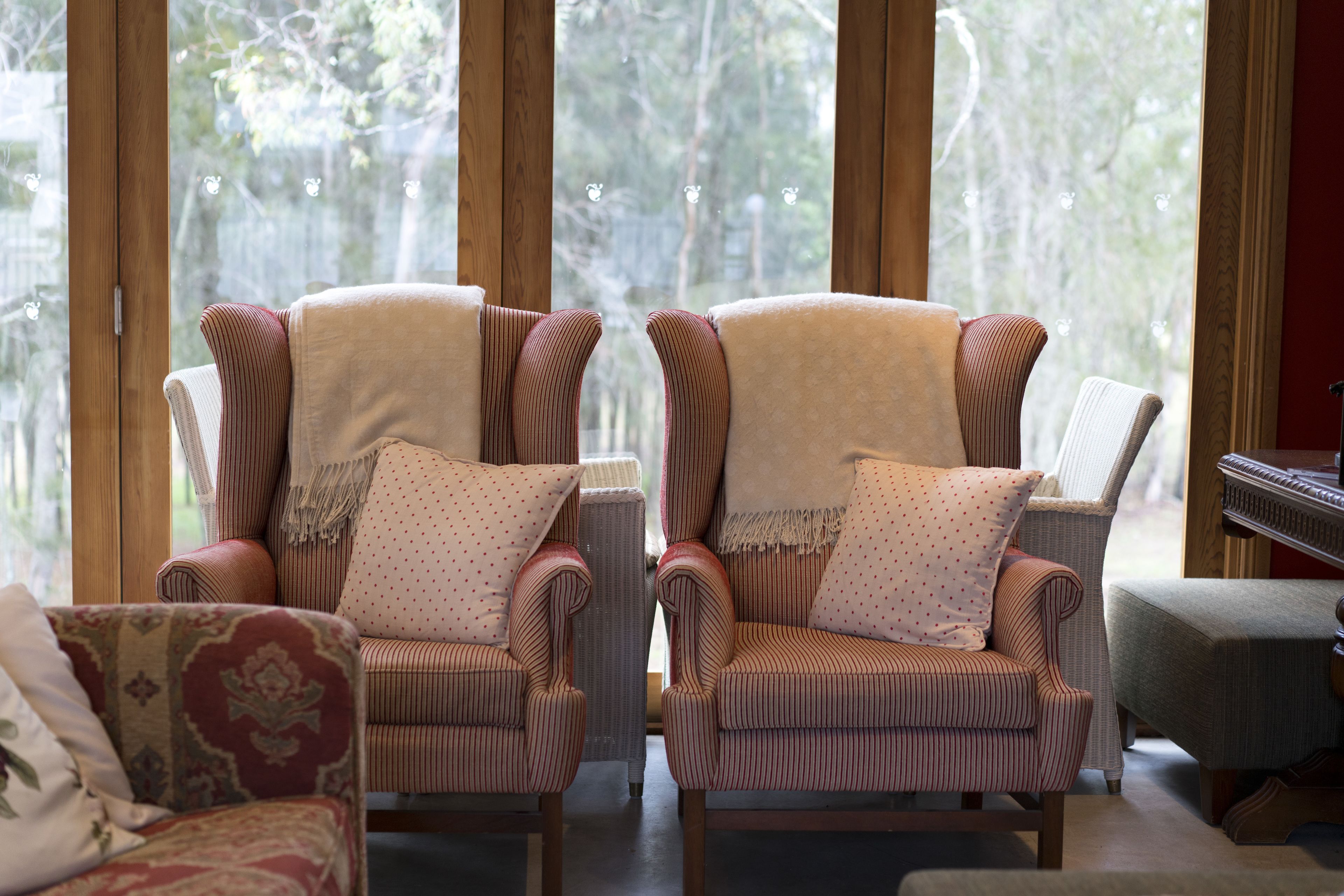 Una habitación con dos sillones a rayas con almohadones, un sofá estampado y vistas a árboles a través de amplias ventanas.