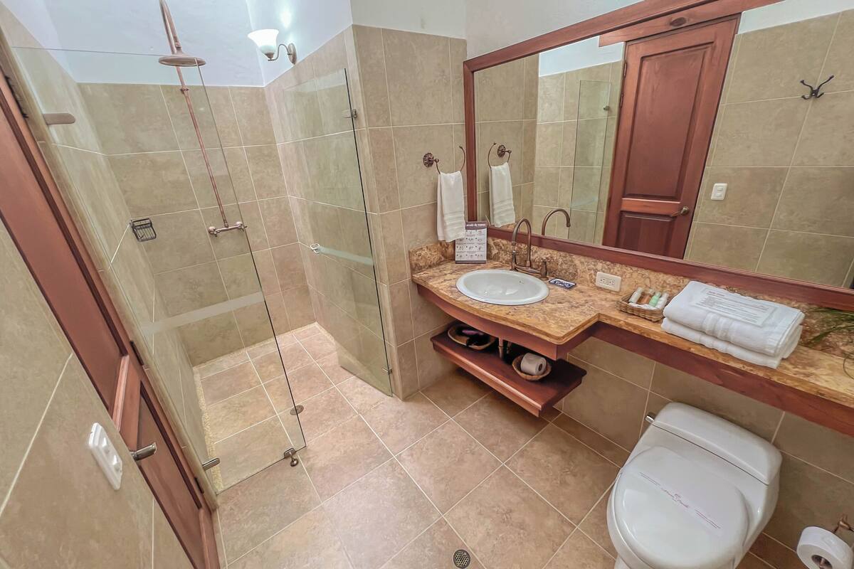 shower, free toiletries, hair dryer, towels