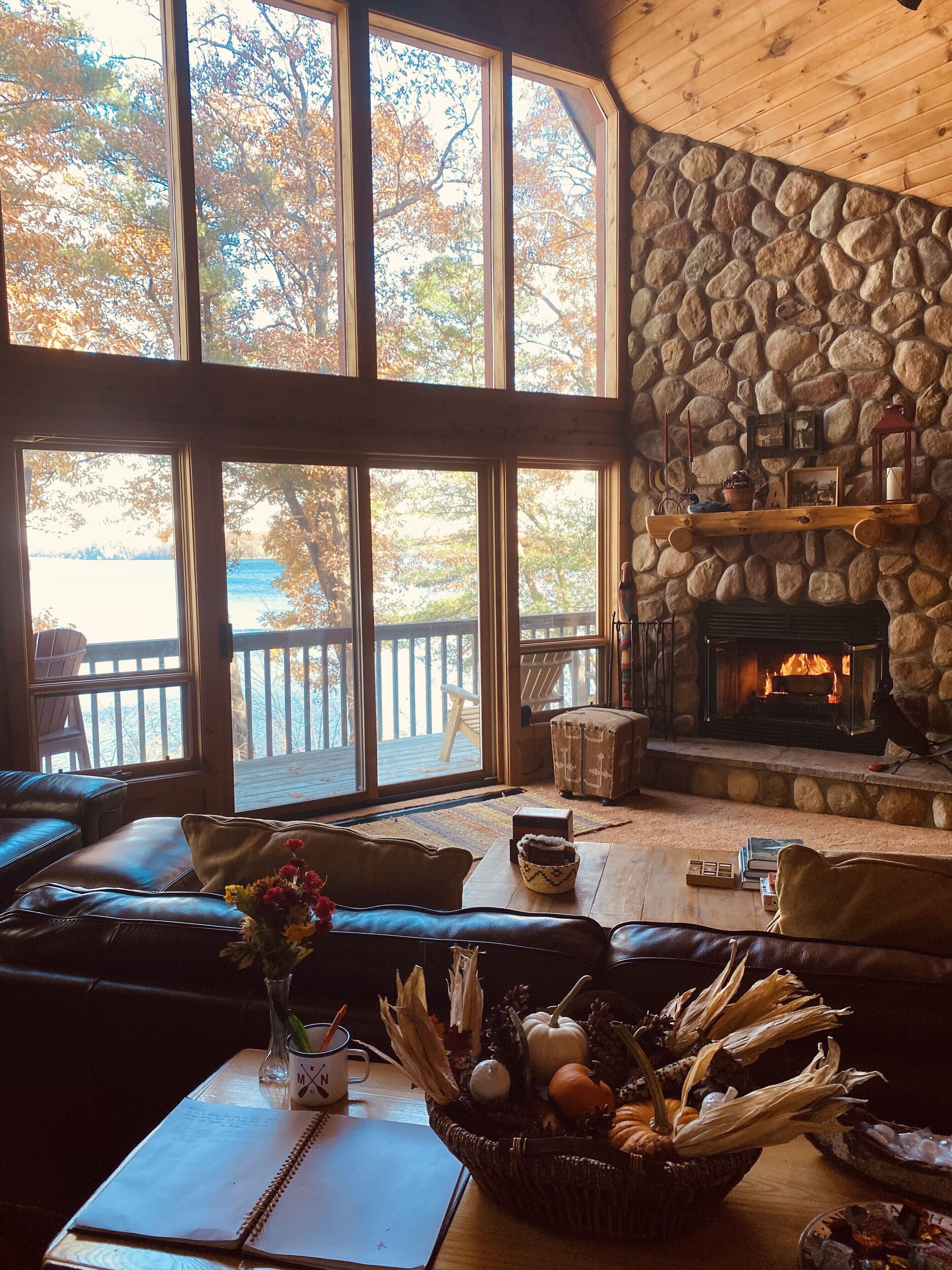 Smart TV, fireplace, DVD player, books