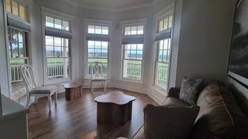 TV connectée, cheminée, lecteur de DVD, chaîne hi-fi