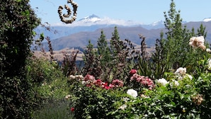View from property - Mitchella Farm Bed & Breakfast (Hawea Flat)