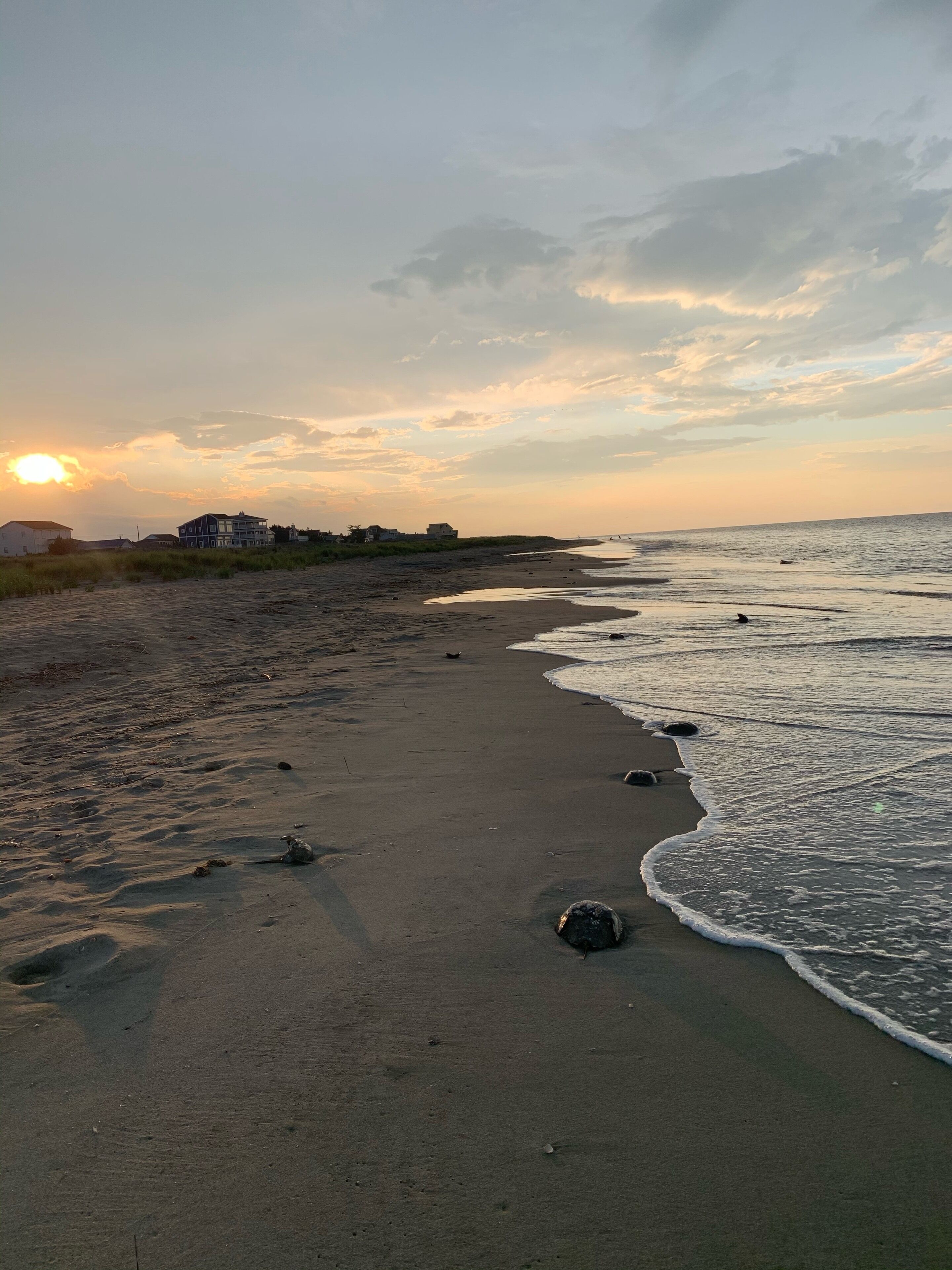 Am Strand, Liegestühle