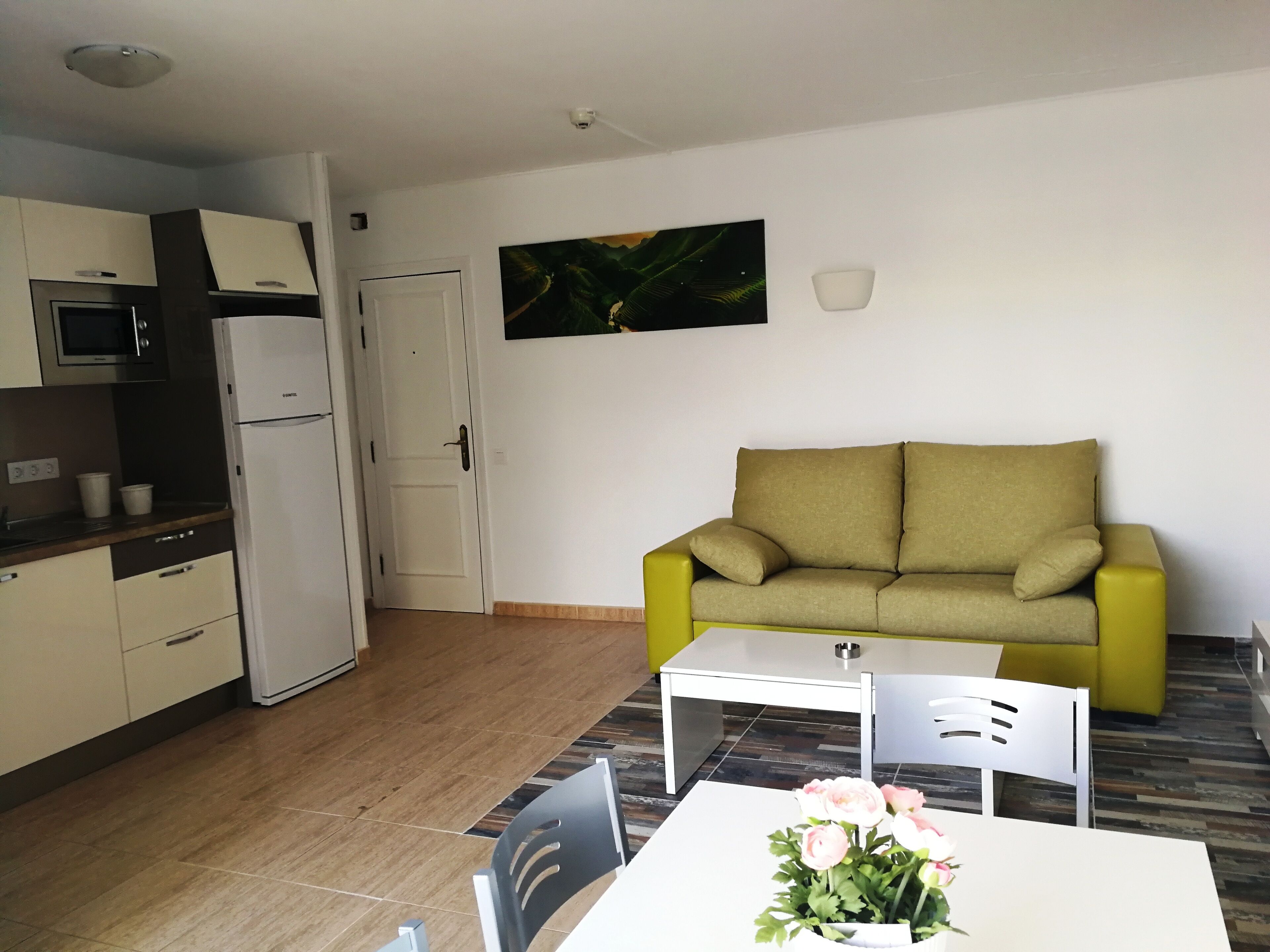 A compact living space with a kitchenette, a sofa, a dining table, and a potted plant.