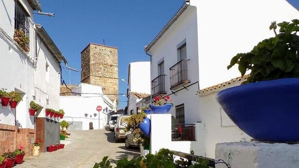 A narrow cobblestone street lined with white buildings, some with balconies and potted plants.