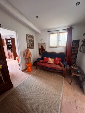 TV, DVD player, books, video library