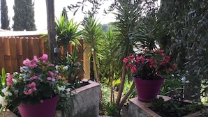 A stone staircase leading to a garden area with potted plants and a wooden fence in the background. - Perfect place to escape from routine in the heights of Nice (Nice)