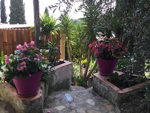 المنطقة المحيطة بالمنشأة