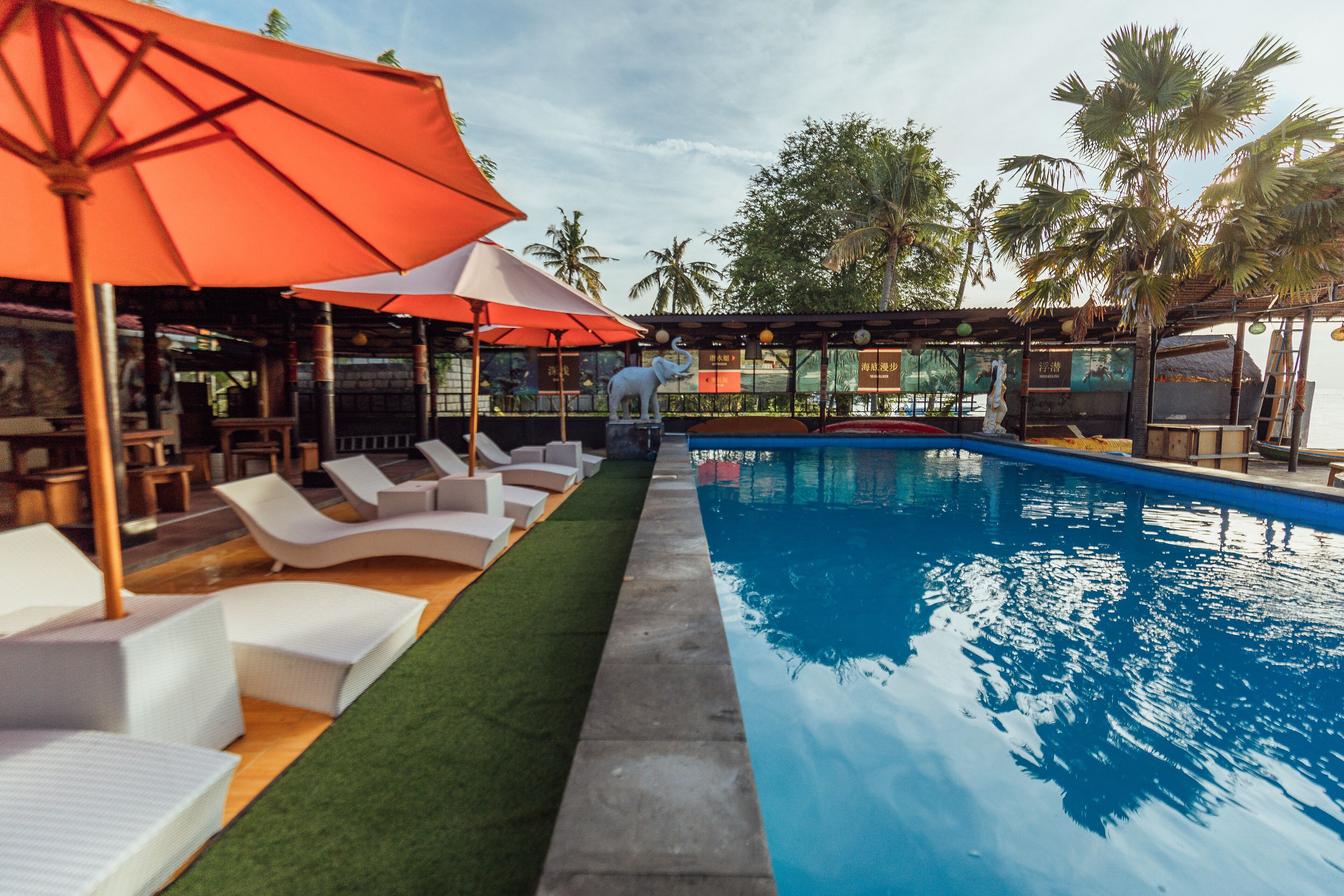 Outdoor pool, sun loungers