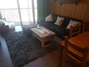 TV, DVD player, books