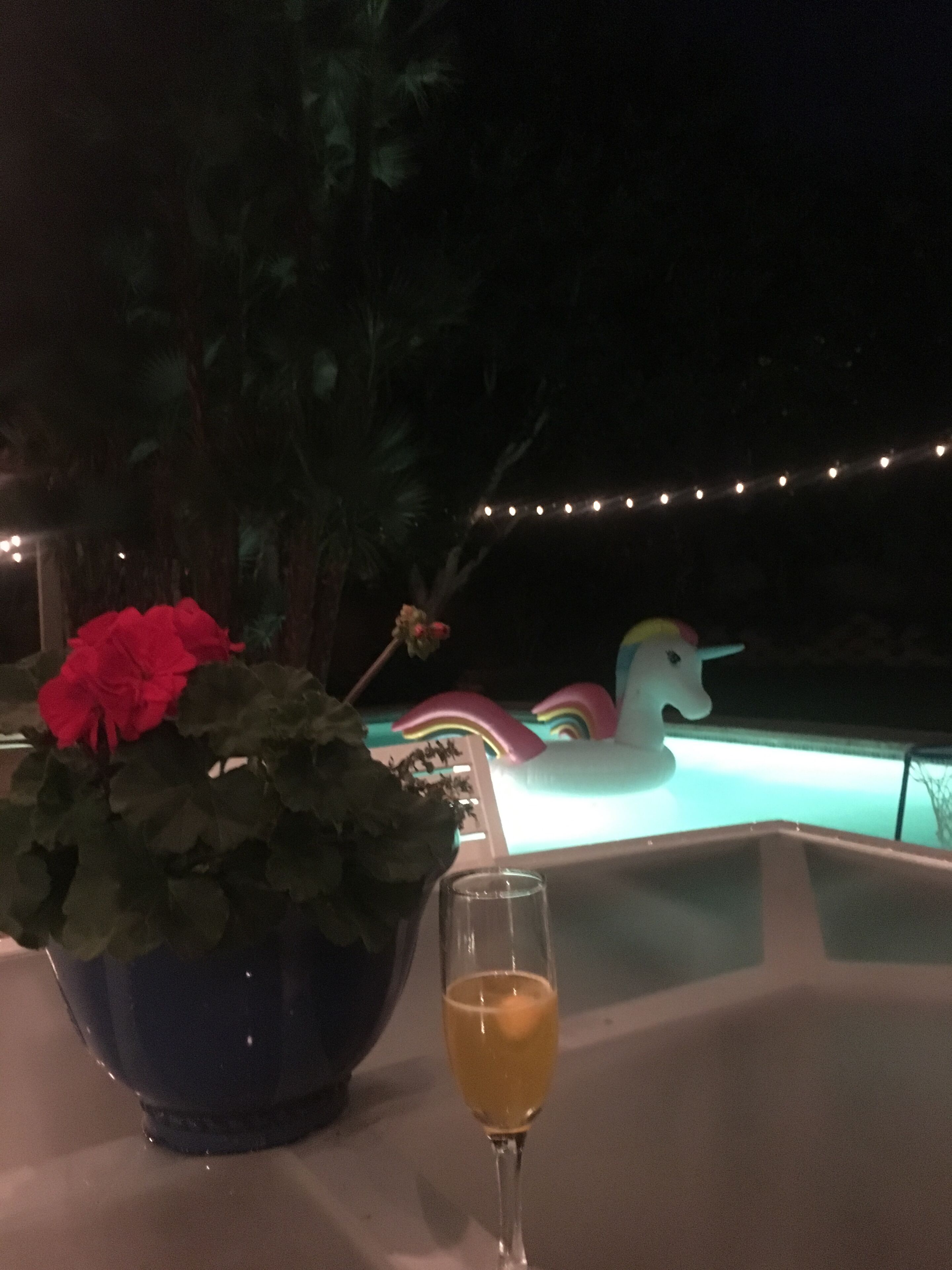 Utomhuspool och uppvärmd pool