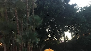 A table with a glass of champagne, a basket of lemons, and a potted plant with yellow flowers.