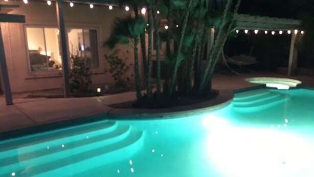A swimming pool with a curved edge and a light blue tint. There are palm trees and a building with a porch in the background.
