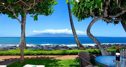 Napili Point Condo - Spectacular View
