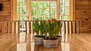 A wooden interior with a wooden table and potted tulips in front of large windows.