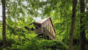 A wooden cabin with a balcony, surrounded by dense forest.