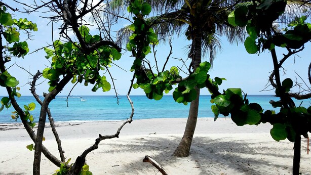 A beach with clear blue water, white sand, and green foliage. - POSHPADZ-Bella Lago-Ground Floor, Walk to Jupiter Beach, Patio with Lake Views (Jupiter)