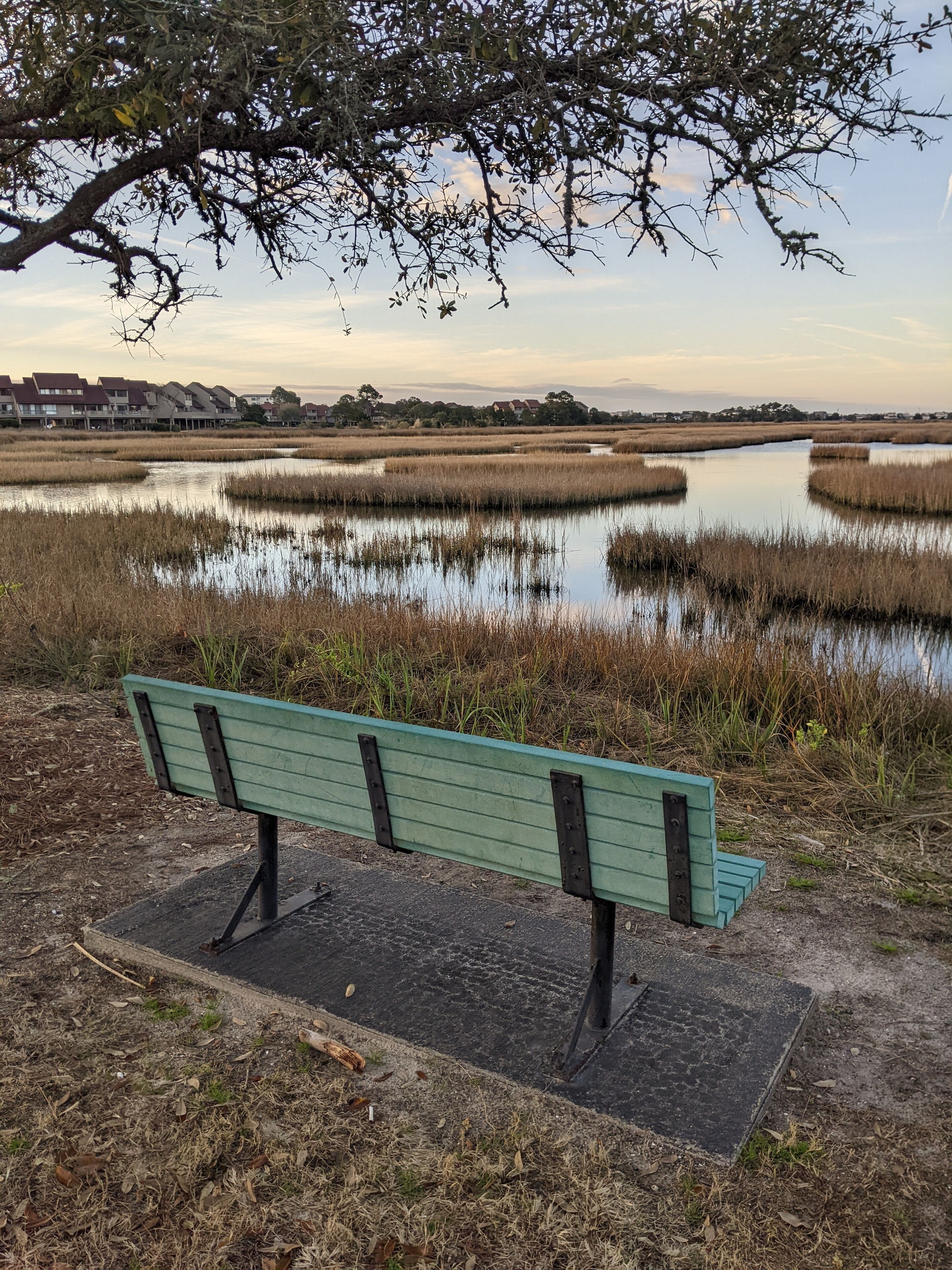 A bench in a park with a view of a marsh and houses in the background.