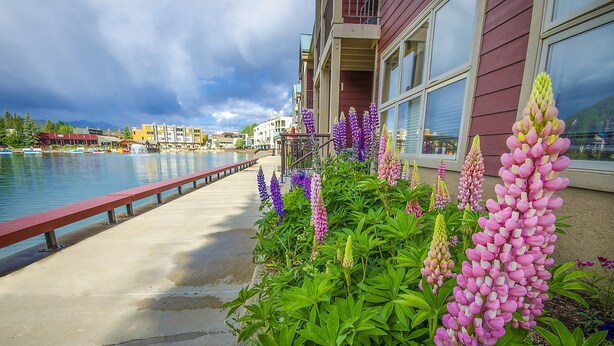 Hotel frente al mar con un paseo de concreto, flores coloridas y vistas al agua y al paisaje urbano.