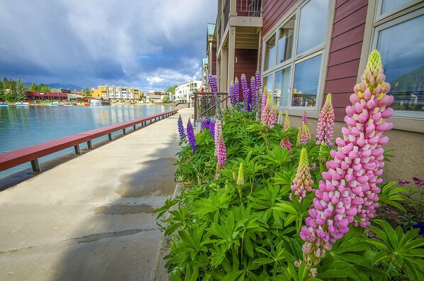 Property grounds - Condo on Keystone Lake/.5 miles to the slopes/easy access to Conference Center (Keystone)