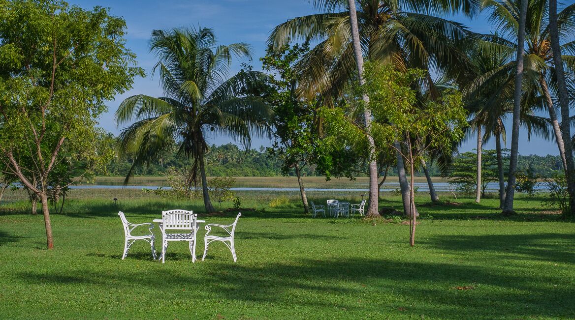 A grassy area with white metal chairs and a table, surrounded by palm trees and a body of water in the background.