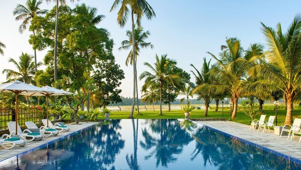 A swimming pool with lounge chairs and umbrellas, surrounded by palm trees and a grassy area. - The Notary's House (Pannala)