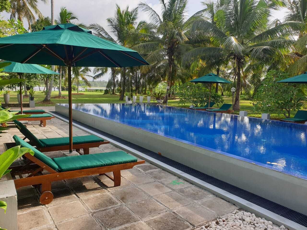 A swimming pool with lounge chairs and umbrellas, surrounded by palm trees.