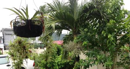 Danel Pensionne House