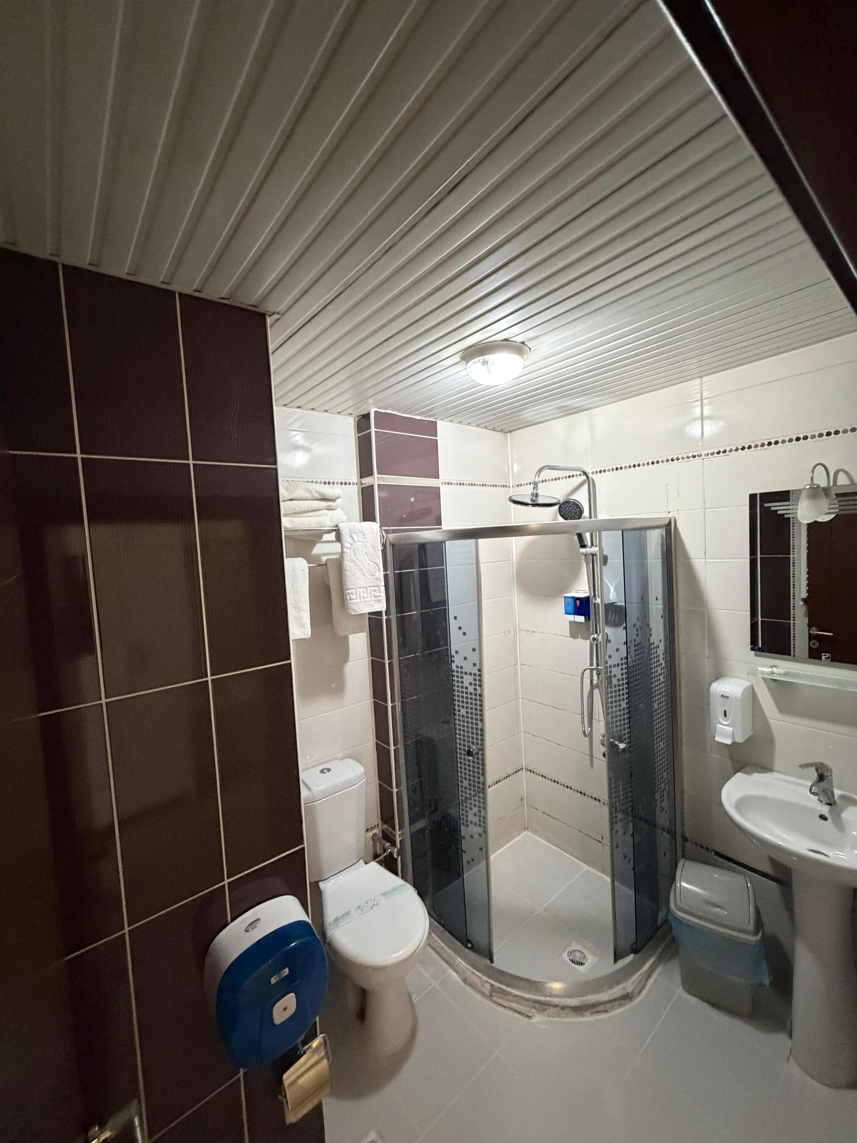 A modern bathroom with a glass shower enclosure, a toilet, and a sink.