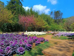 Point of interest - Baan AingDoi Homestay (Chiang Dao)