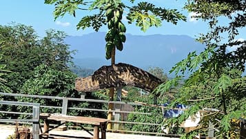 Bamboo Hut | Khu phòng khách