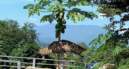 Baan AingDoi Homestay