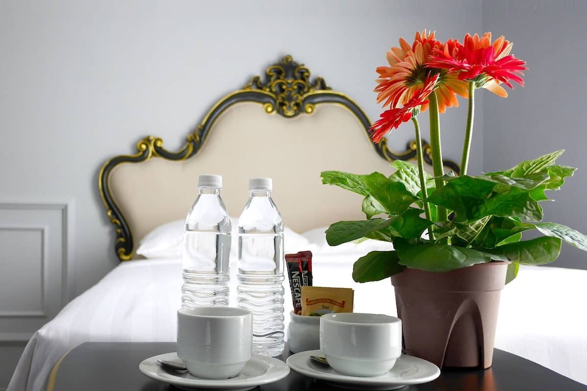 A neatly arranged hotel room with a bed, two water bottles, two cups, a potted plant, and a tea bag on the bedside table.