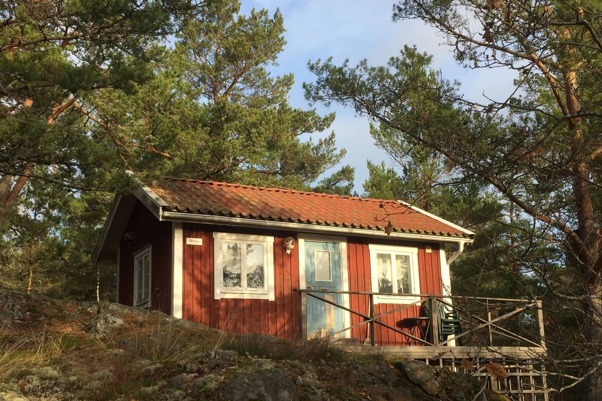 Een kleine hut met een rode gevel, een houten terras en uitzicht op de omliggende bomen.