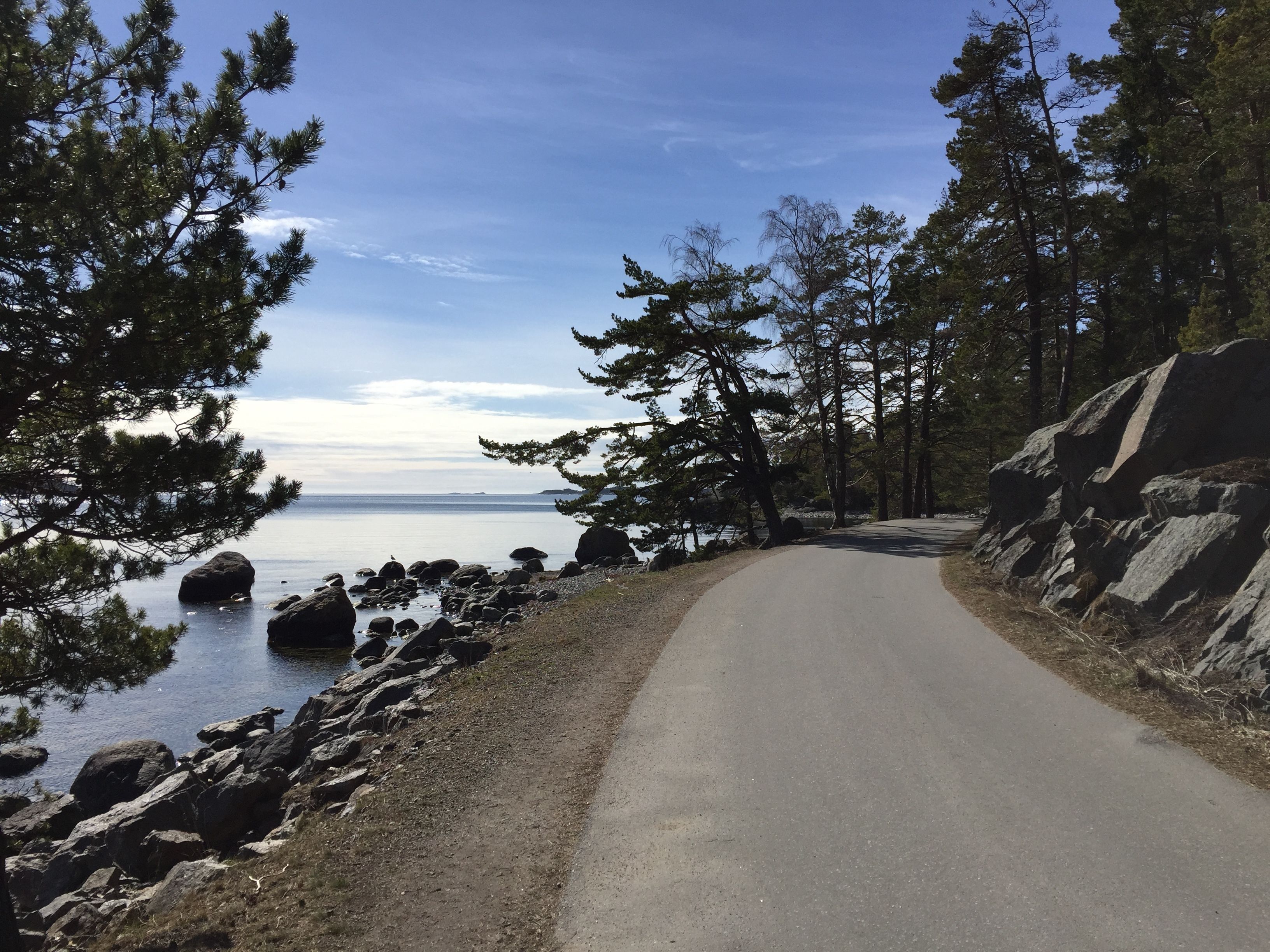 A paved road curving through a forested area with a body of water on one side.