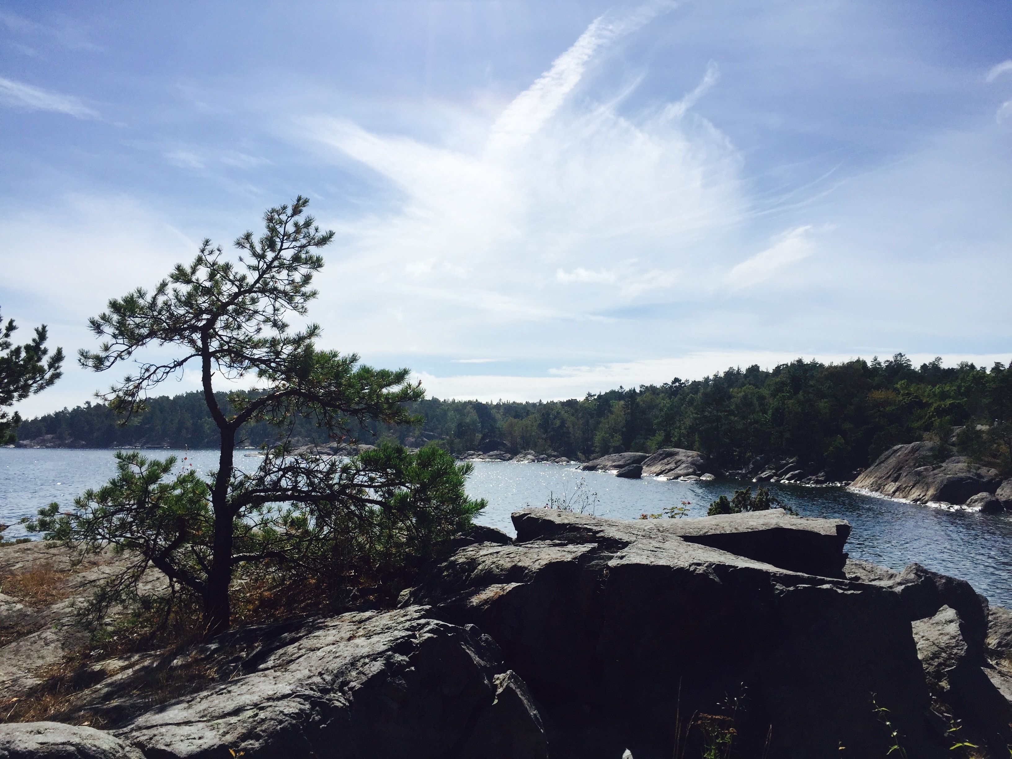 A rocky shoreline with a clear view of the water and a forested hill in the background.