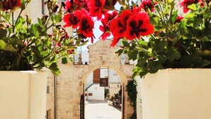 An arched stone gateway flanked by potted red flowers leading to a courtyard. - Dimora Sant'Anna (Carovigno)