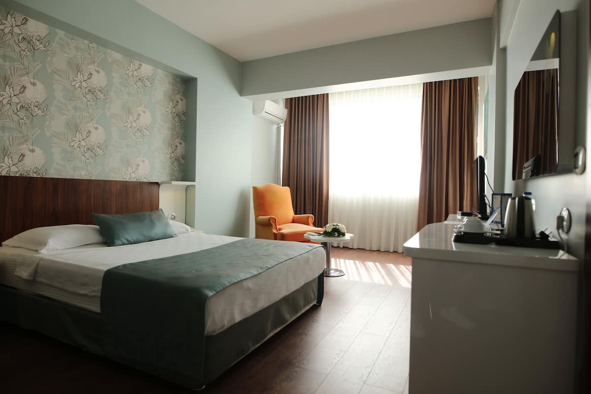 Standard Double Room | Minibar, in-room safe, desk, soundproofing