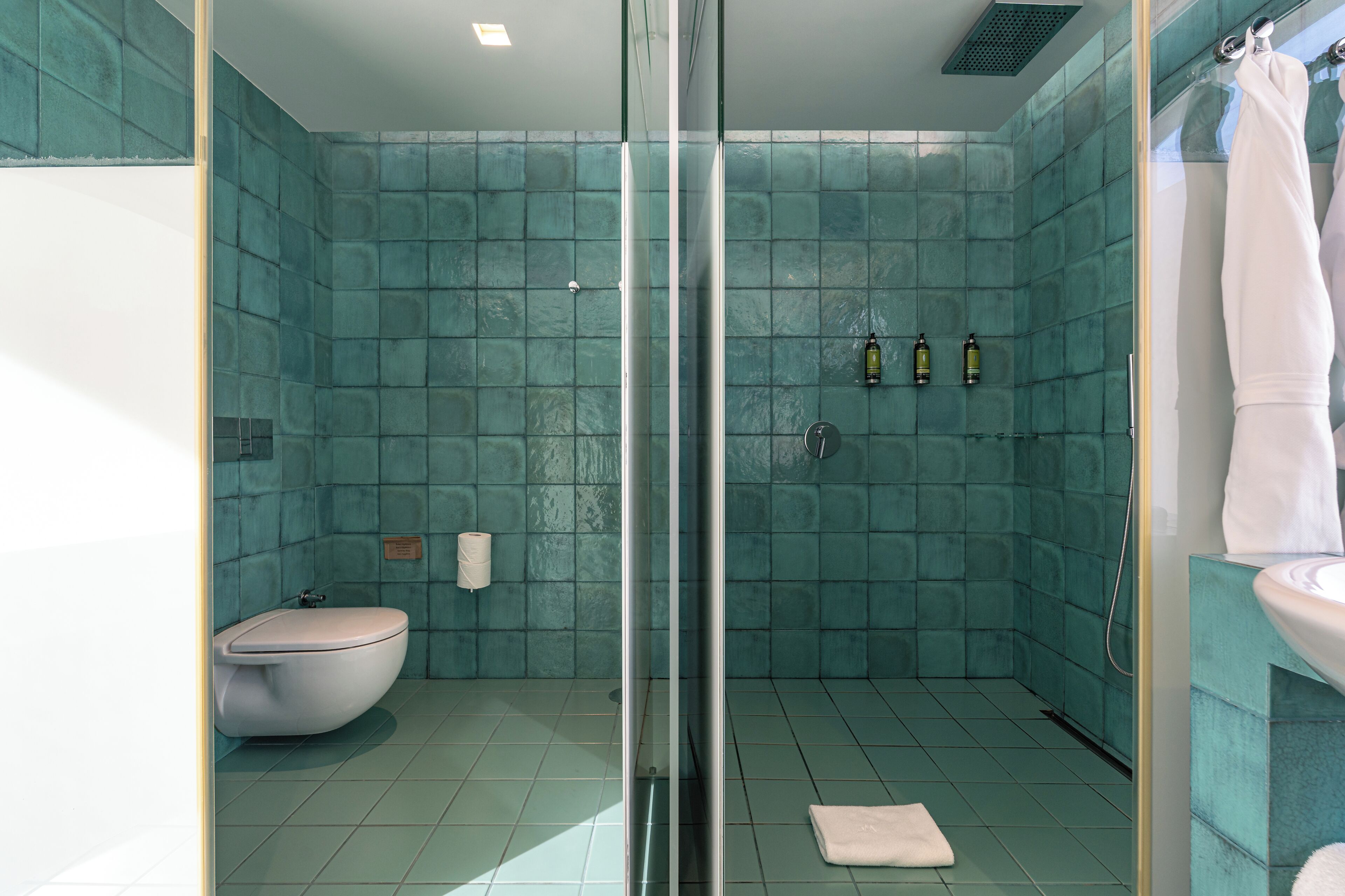 deluxe double room | bathroom | shower, free toiletries, hair dryer, bathrobes