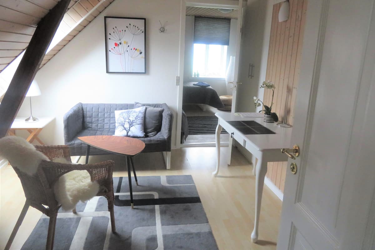 Departamento, 1 habitación, cocineta | Área de sala de estar | Smart TV y piso con calefacción
