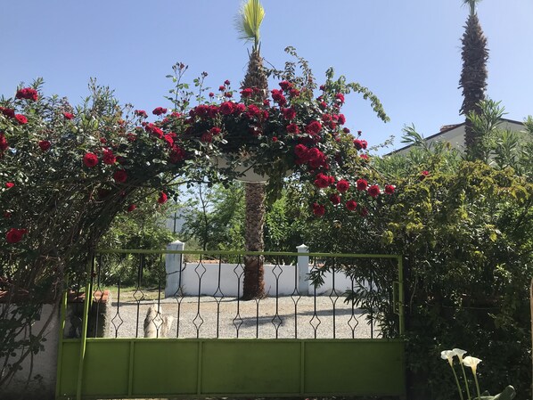 الإطلالة من المنشأة