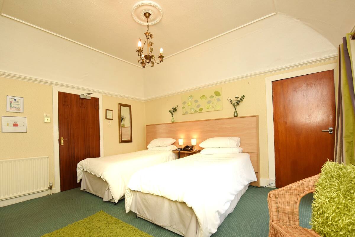 A hotel room with two single beds, a wooden headboard, a green carpet, a chandelier, and a door with a curtain.
