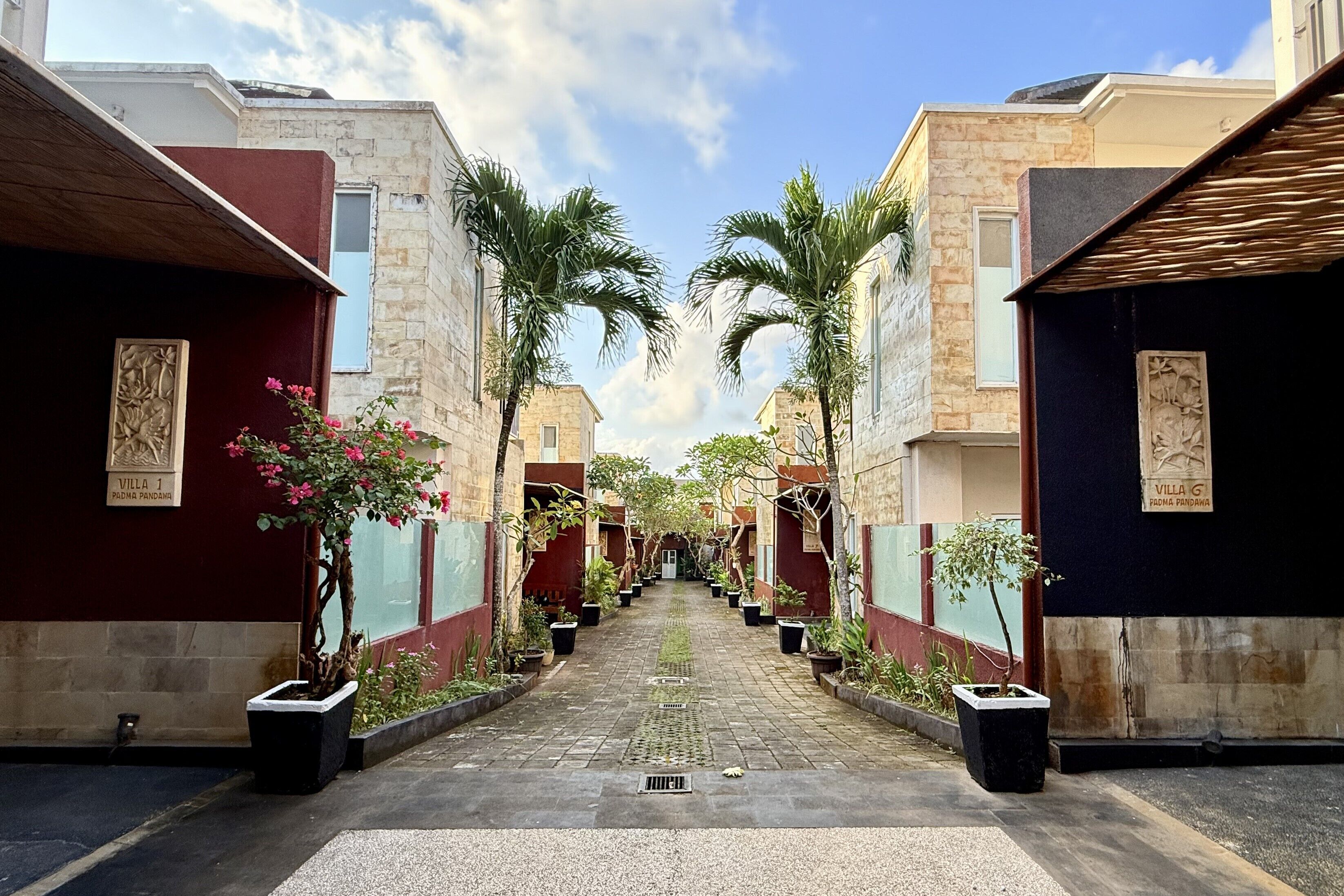 Un étroit sentier bordé de bâtiments aux façades en pierre, de palmiers et de plantes en pot.